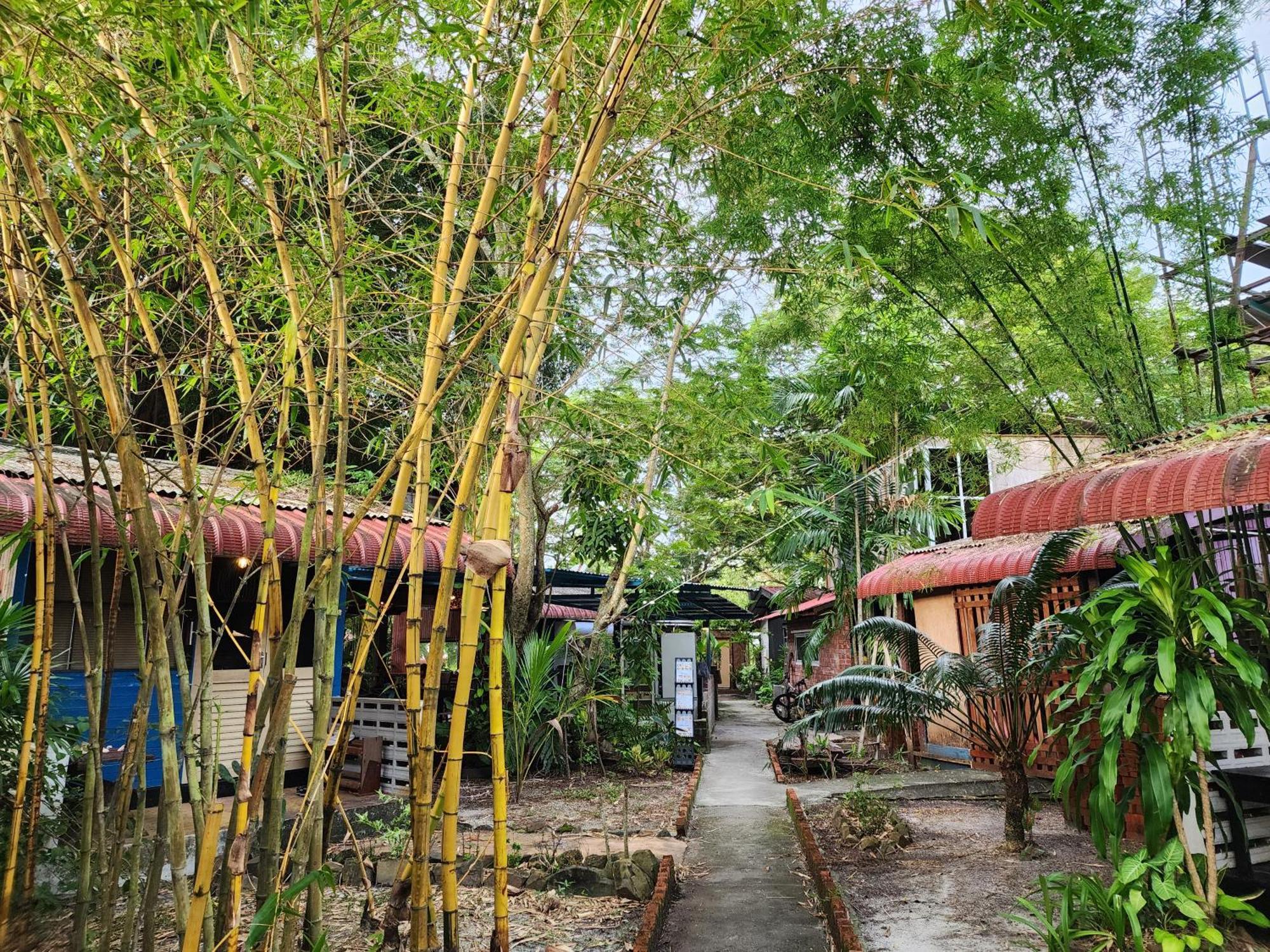Blissfull Sweet Inn Pantai Cenang  Exterior foto